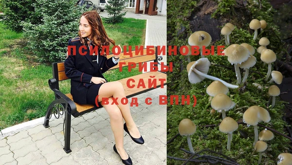 Альфа ПВП Алексин