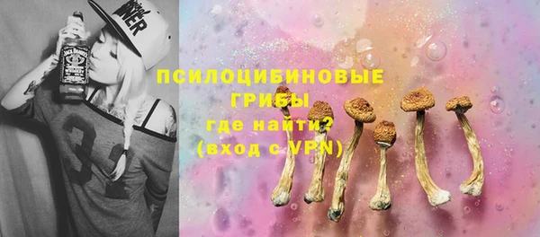 2c-b Алзамай